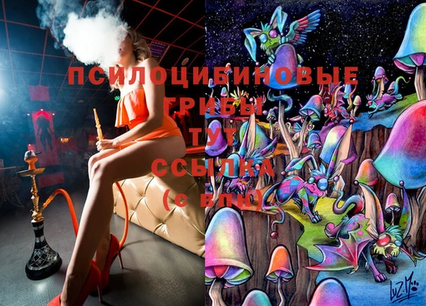 не бодяженный Алексин