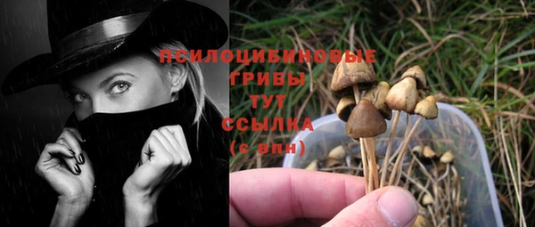 не бодяженный Алексин